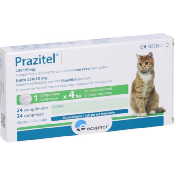 praziquantel
